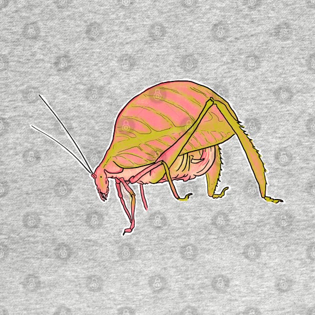 Rose-tinted katydid or Eulophophyllum kirki, just a friendly flamingo-pink insect by tostoini